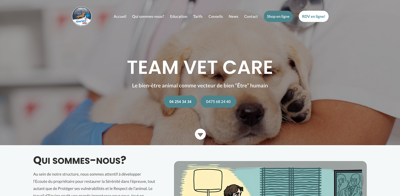 TeamVetCare